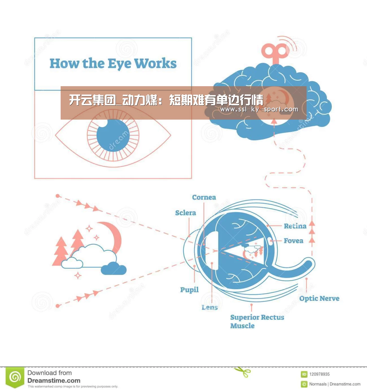 开云集团_动力煤:短期难有单边行情(图4) 开云集团_动力煤:短期难有单边行情(图4)