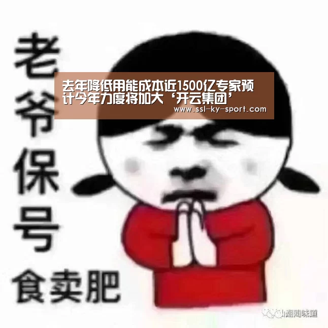去年降低用能成本近1500亿专家预计今年力度将加大‘开云集团’(图2) 开云