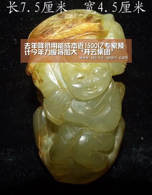 去年降低用能成本近1500亿专家预计今年力度将加大‘开云集团’(图4) 开云体育官网