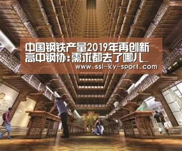 中国钢铁产量2019年再创新高中钢协:需求都去了哪儿_开云体育官网(图1) 开云集团